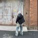 Men's Clothing Vintage Washed Distressed Baggy Flare Cleanfit Denim Jeans For Men & Women - High Waisted Straight Leg Comfortable Cotton Casual Pants_mkmklike.com