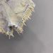 2026 New Retro Old Ripped Holes Heavy Industry Fringed Rough Edge A-word Super Shorts Spice Girl Hip-wrapped Single-breasted Denim Shorts_mkmklike.com