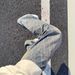 Men's Clothing Cleanfit High Street Scimitar Jeans Men's Design Sense High Waist Flared Pants Slim Fit Straight Trousers_mkmklike.com