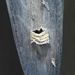 Men's High Street Retro Ripped Beggar Pants Loose Straight Harem Jeans Trendy Nine Point Spring Summer Clothing_mkmklike.com