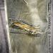 Retro Casual Ripped Blue Jeans Straight Leg Patched Men's Denim Pants Trendy Autumn Style New American 2025_mkmklike.com