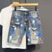 Men's ClothingMen's Cat Whisker Hole Denim Shorts Needle Embroidery High Street Handsome Beggar Pants Slim Fit Feet Versatile Shorts_mkmklike.com