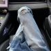 2025 New Spring/Summer American Washed Ripped Jeans Straight Leg Fit, Slim And Slightly Flared Floor Length Pants_mkmklike.com