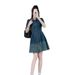 Hong Kong Style Denim Dress, Women's Summer New Style, High-End And Western-Style Temperament, Polo Collar Sleeved Short_mkmklike.com