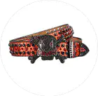 Women's Belts_mkmklike