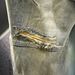 Men's Japanese Loose Fit Patchwork Jeans Vintage Distressed Denim Harem Style Pants_mkmklike.com
