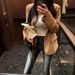 Women's Clothing Women's High Waist Flared Jeans - Vintage Washed Denim Pants With Stretch, Slim Fit & Distressed Details (Dark Blue)_mkmklike.com
