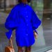 Women's Large Loose Bubble Sleeve Solid Color Casual Long Sleeve Shirt Dress_mkmklike.com