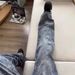 Cleanfit Vintage Embroidered Jeans – Straight Leg, Floral Jacquard, Retro Washed Denim For Men & Women (S-3XL)_mkmklike.com
