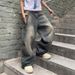 2025 Spring And Autumn New Street Style Trendy Brand Washed Design Jeans Loose Floor-Length Wide-Leg Pants_mkmklike.com