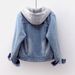 Women's Clothing Velvet Thickened Cotton Cotton Coat Removable Hooded Warm Lambswool Cotton Coat Short Style_mkmklike.com