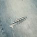 Loose Fit Distressed Washed Jeans For Men American Street Style Vibe Wide Leg Frayed Vintage Casual Long Pants_mkmklike.com
