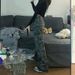 American-style Heavy-duty Denim Pants Women, Camouflage, High-waisted Design, New For Spring And Autumn 2026, Slimming_mkmklike.com