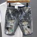 Man Denim Shorts Selvedge Multi Color Short Jeans Pants For Men Graphic Ripped Luxury Jorts Distressed Harajuku Buttons_mkmklike.com