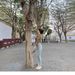 Light-colored High-waisted Butt-lifting Jeans For Women, 2023 Spring/summer, Stretchy, Slim-fit, Frayed Hem Skinny Pants_mkmklike.com
