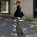 Camouflage Patchwork Ripped Jeans 2025 New Style Street Fashion Design, Loose Straight Leg Pants For Men_mkmklike.com