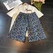Men's All Over Star Print Denim Shorts High Street Style Summer Loose Straight Leg Mid-Length Five Point Pants_mkmklike.com