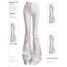 White Stretchy Bootcut Jeans Women, New Spring Style, Slim-fit, Slightly Flared, Extra-long For Tall Individuals,_mkmklike.com