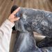 Cleanfit Vintage Embroidered Jeans – Straight Leg, Floral Jacquard, Retro Washed Denim For Men & Women (S-3XL)_mkmklike.com