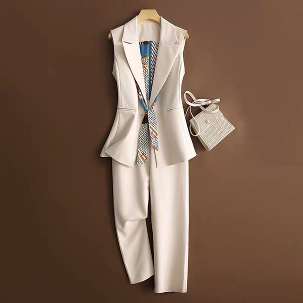 Women's Clothing spring and autumn slim sleeveless vest vest suit two piece suit women's trend_mkmklike.com