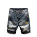 Men's Clothing 2025 Summer Loose Straight Trend Casual Pants Korean Summer Wear Trendy Brand All Match Shorts_mkmklike.com