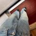 Vintage-Inspired Heavyweight Rhinestone Patchwork Jeans For Women – Star Studded & High-Waisted Wide-Leg Pants (S-XL)_mkmklike.com