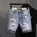 Vintage Washed Slim-Fit Denim Shorts – Light Blue With Cat Whiskers & Knee Rips (Sizes 28-36)_mkmklike.com